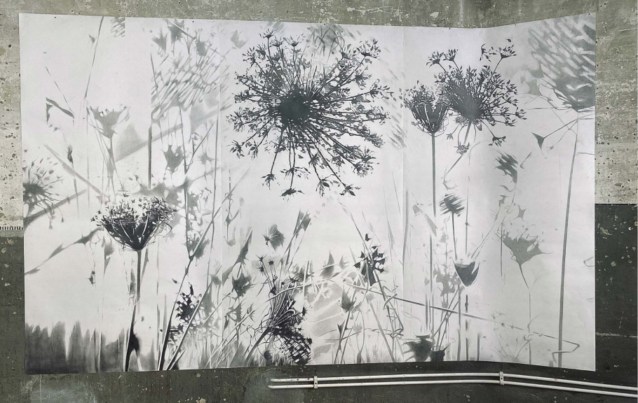 01_blunier_brache-no-01-02-03_joli-mois-de-mai-biel-2b