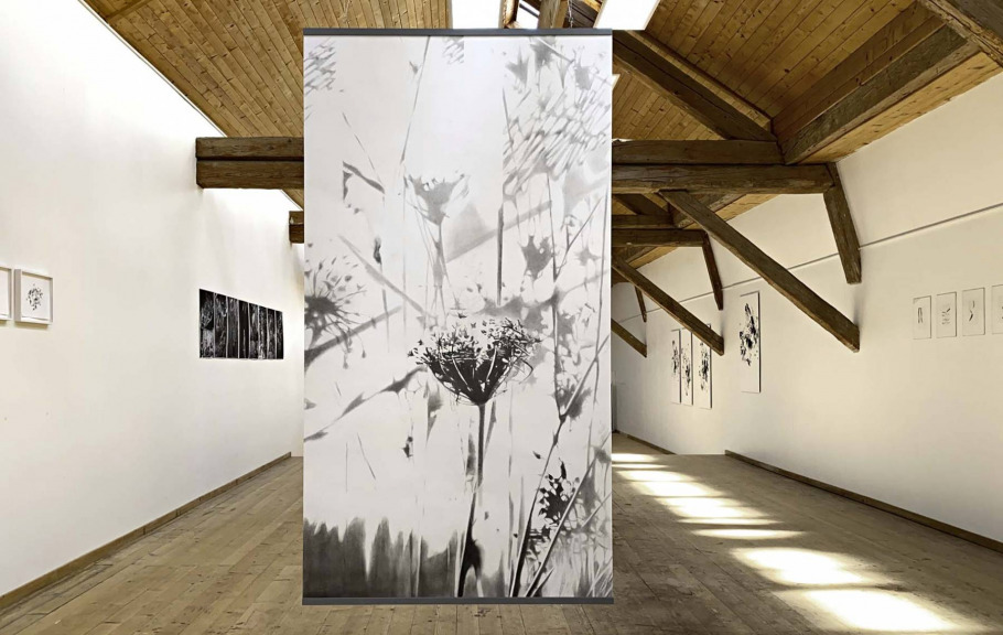 03_blunier_brache-no-01_galerie-vinelz-72-40