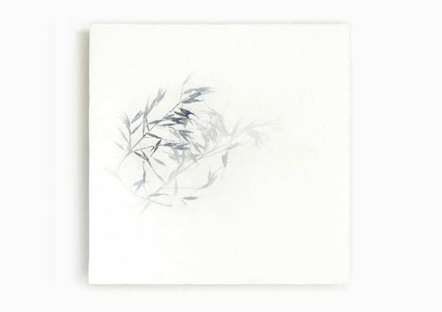 02_blunier_fleurisse_02_objekt_32x32cm_naturdruck-bienenwachs
