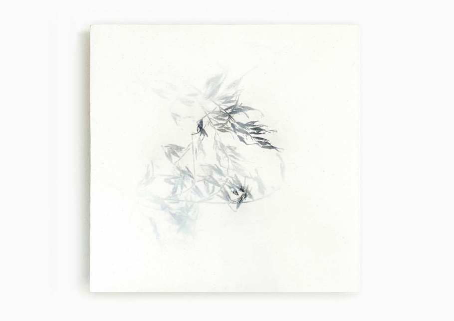 04_blunier_fleurisse_04_objekt_32x32cm_naturdruck-bienenwachs