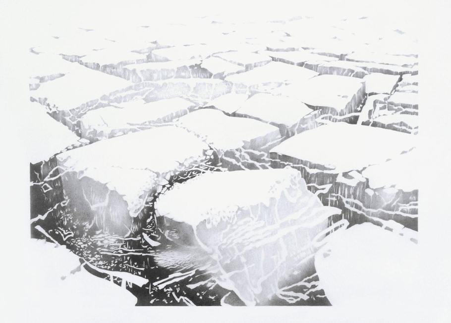 Lis Blunier | multi media - Installation | Berlin ||| Kopf Stein Berg | Serie | 01 - Schillerpromenade | Zeichnung mit Bleistift | 70 x 50 cm | 2016