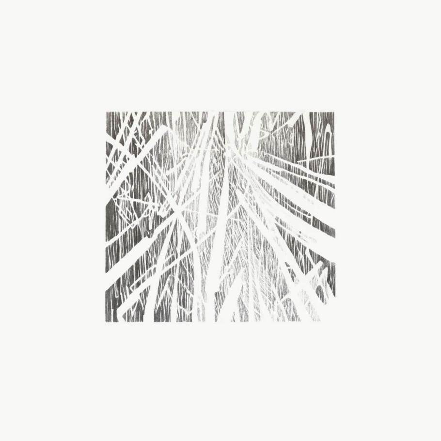 06_negativ-no-02_2018_zeichnung_graphit-auf-papier