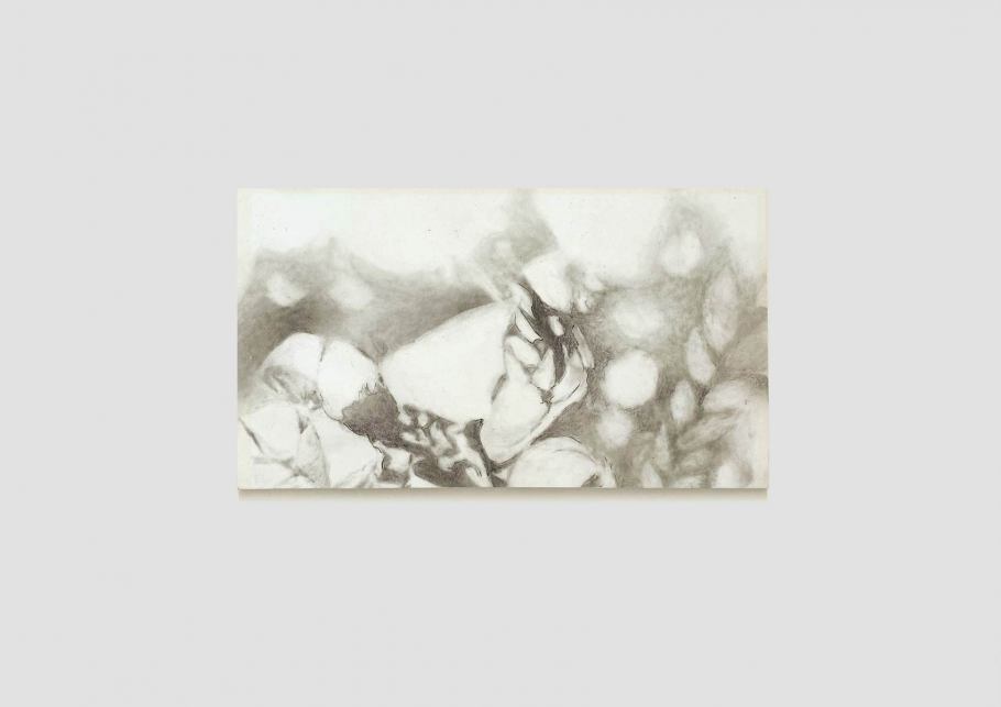 04_blunier_objects-sauves_heideroeschen_zeichnung_2023-25