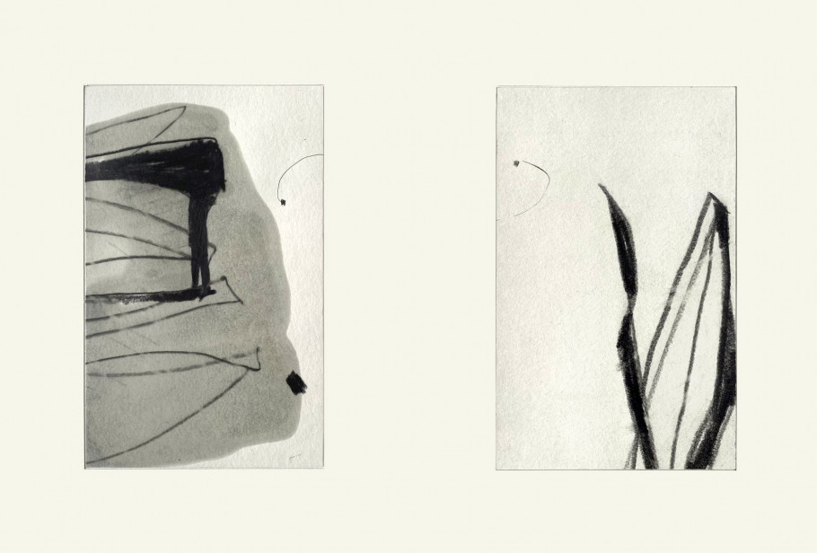 09_blunier_samen_zeichnung_2er_03und09