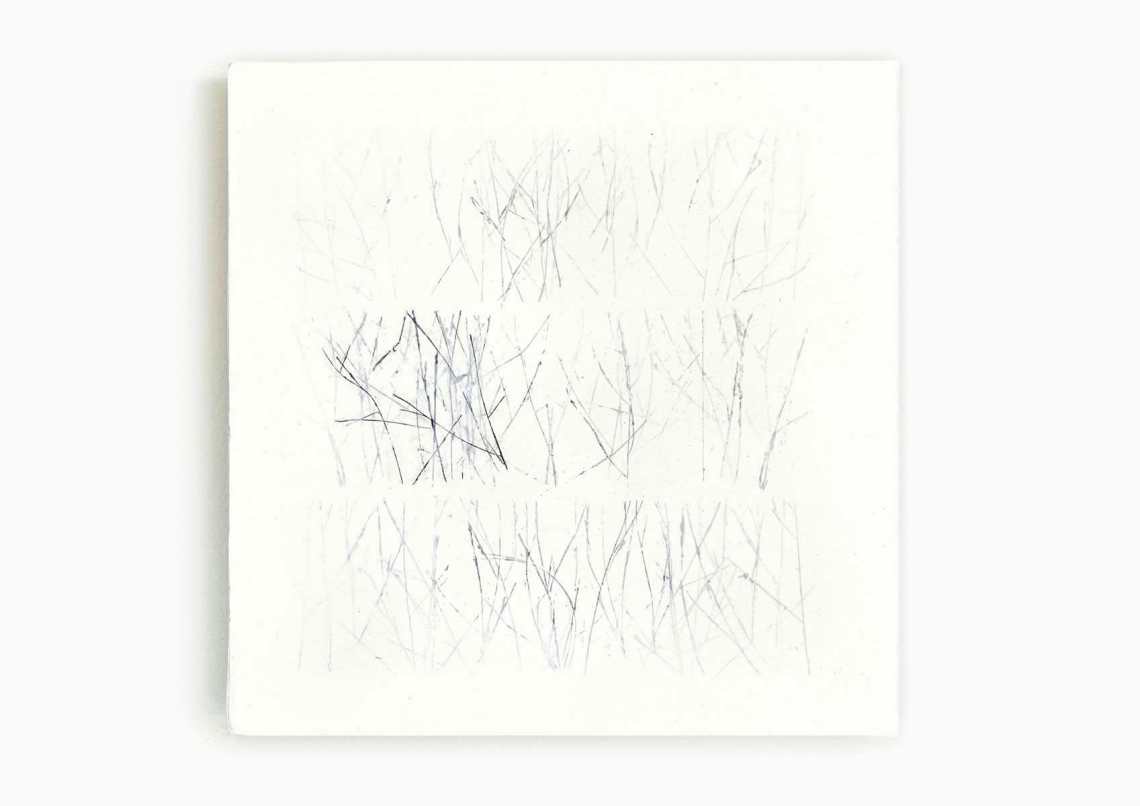 01_blunier_schwarzes-gras-01_objekt_32x32cm_naturdruck-bienenwachs.jpg