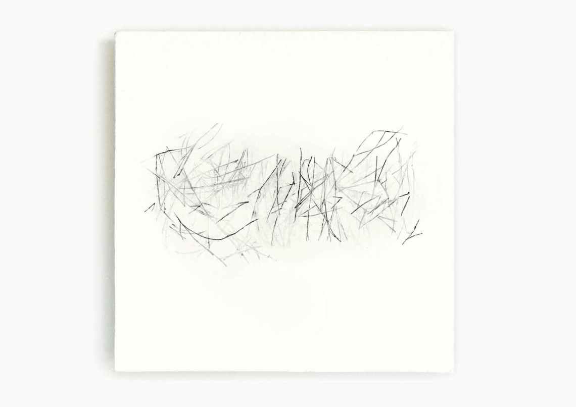 02_blunier_schwarzes-gras-02_objekt_32x32cm_naturdruck-bienenwachs.jpg