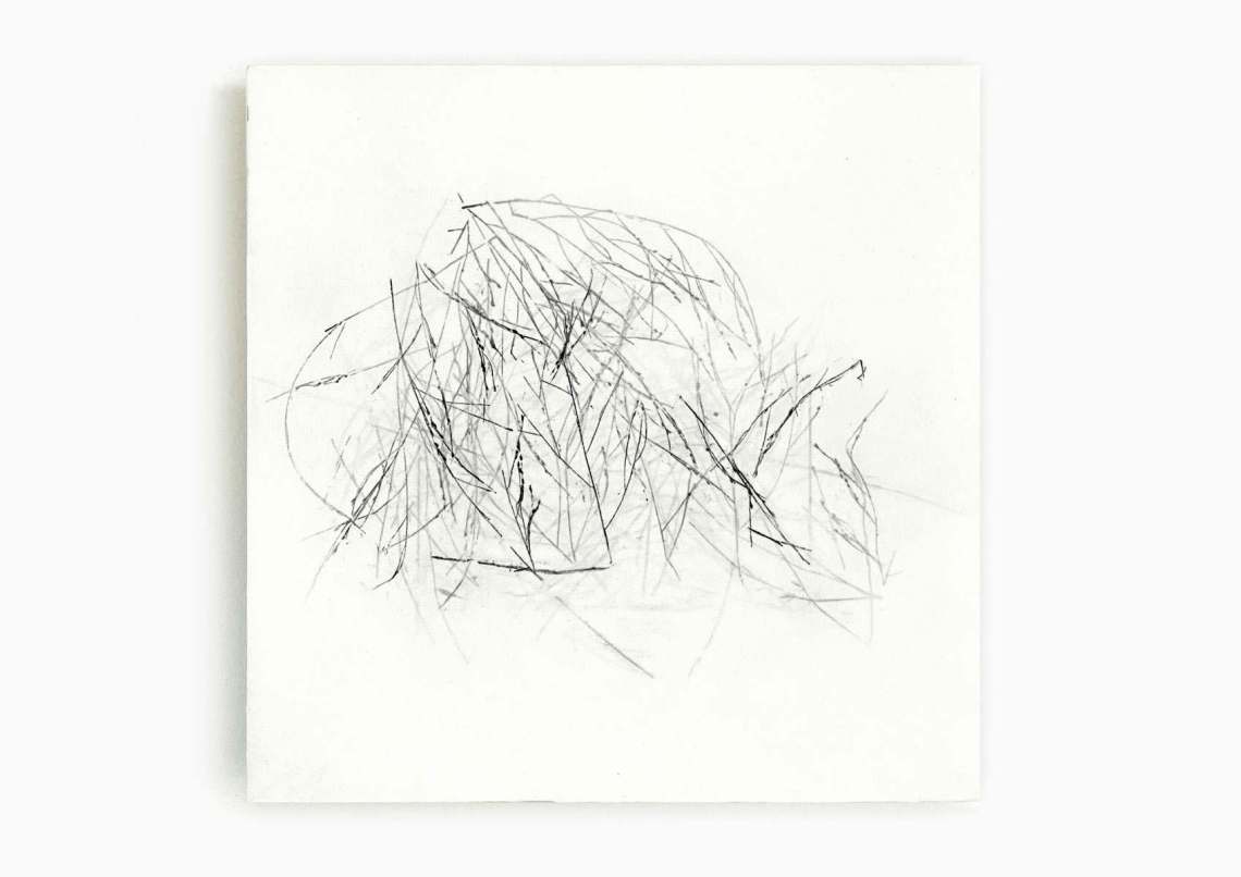 05_blunier_schwarzes-gras-05_objekt_32x32cm_naturdruck-bienenwachs.jpg