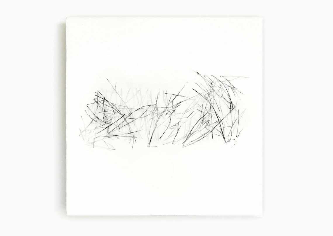 07_blunier_schwarzes-gras-07_objekt_32x32cm_naturdruck-bienenwachs.jpg
